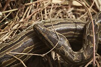 IMG_6562