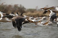 IMG_6638