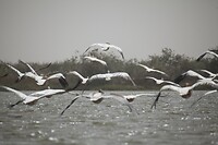 IMG_6647