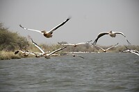IMG_6670