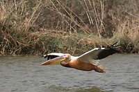 IMG_6687