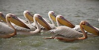 IMG_6692