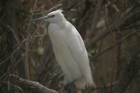 IMG_6700