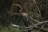 IMG_6704