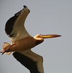 IMG_6738