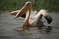 IMG_6748