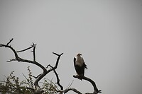 IMG_6789