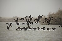 IMG_6803