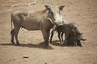 IMG_6833