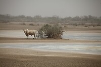 IMG_6841