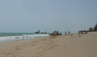 DSCN0885