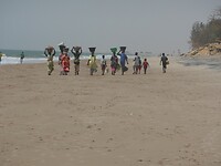 DSCN0906