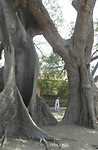 DSCN0931