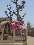 DSCN0956