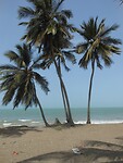 DSCN0966
