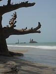 DSCN0977