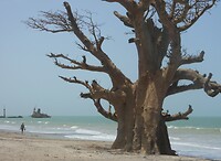 DSCN0978