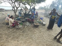 DSCN1010