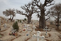 IMG_6969