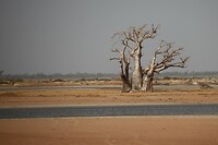 IMG_6995
