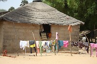 IMG_7036