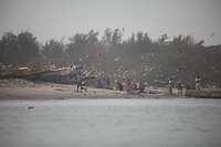 IMG_7186