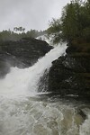 IMG_7831