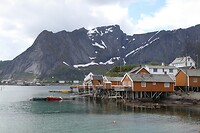 IMG_7964