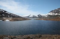 IMG_8123