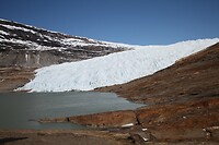 IMG_8128