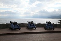 IMG_8260