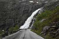 IMG_8293