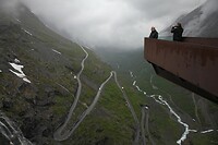 IMG_8310