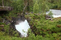 IMG_8329