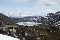 IMG_8403