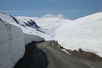 IMG_8429