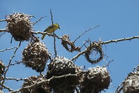 IMG_9611