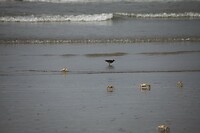 IMG_9665