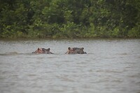 IMG_9769