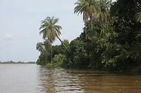 IMG_9795
