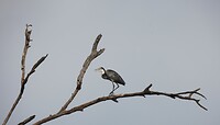 IMG_9801