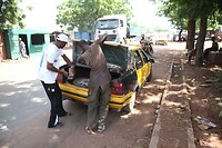 IMG_0013