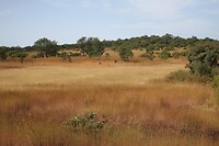 IMG_0023
