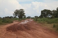 IMG_9830