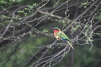 IMG_9848