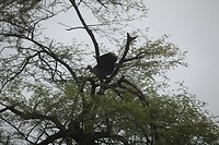 IMG_9864