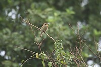 IMG_9874