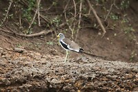 img_9881