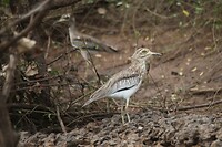IMG_9884