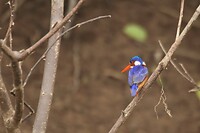IMG_9917